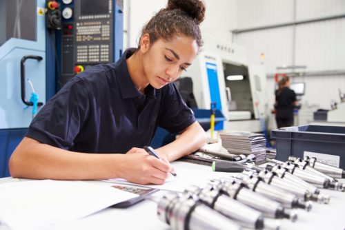 what are apprenticeship standards